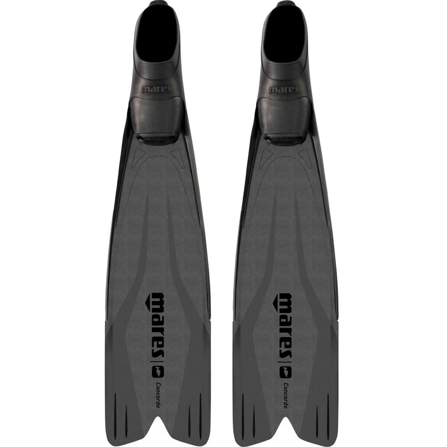 Palmes CONCORDE MARES – Image 4